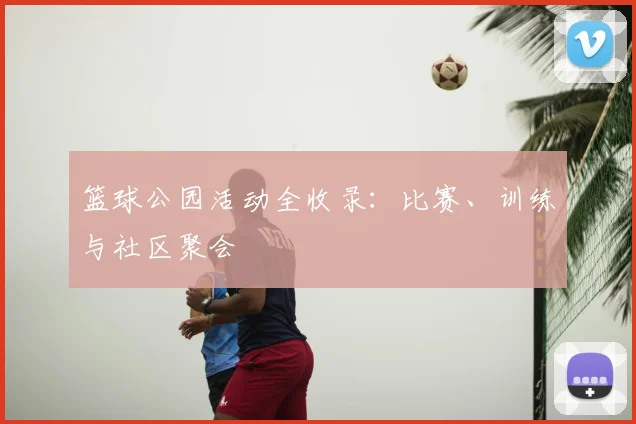 篮球公园活动全收录：比赛、训练与社区聚会